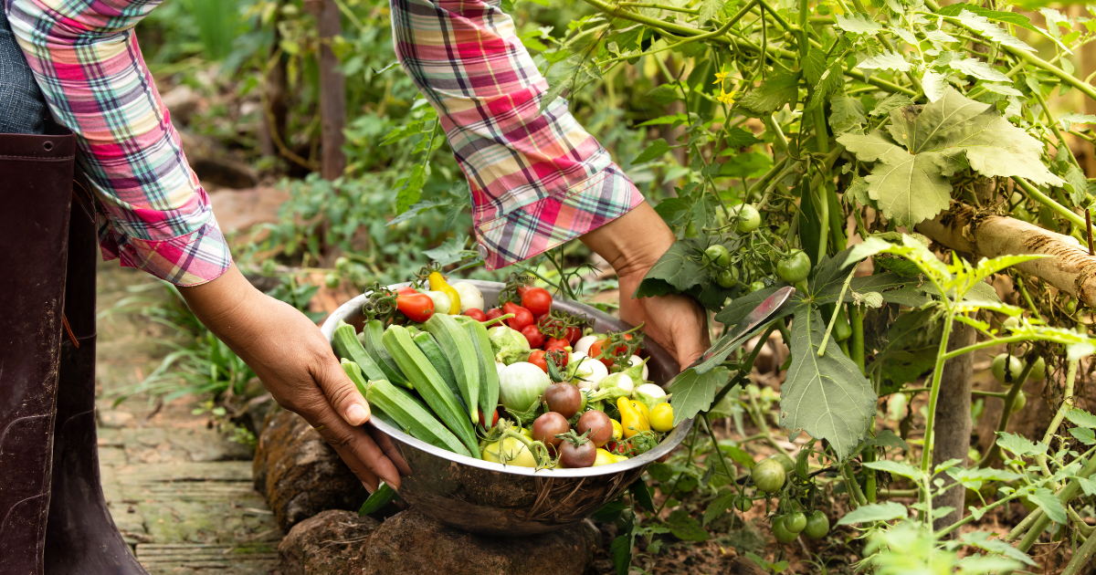 Unlock the Flavors of 2025 Farm-to-Table Magic