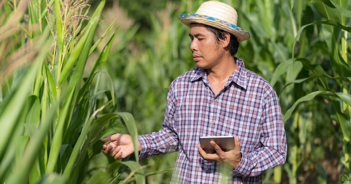 Unlock the Secrets of the Farm: Your Ultimate Tour Guide