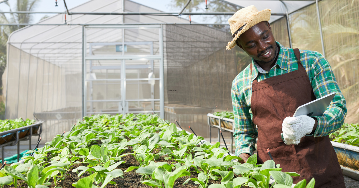 Find Your Perfect Farm Getaway with a Guided Tour!